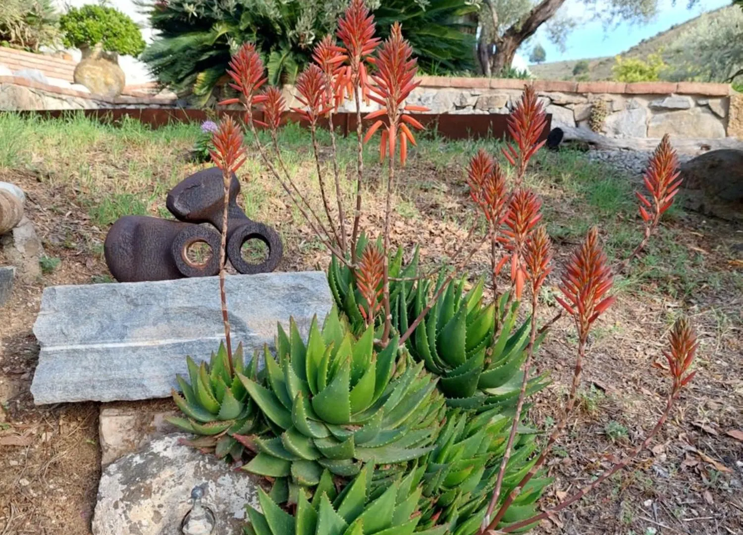 Colores En El Viento Frigiliana