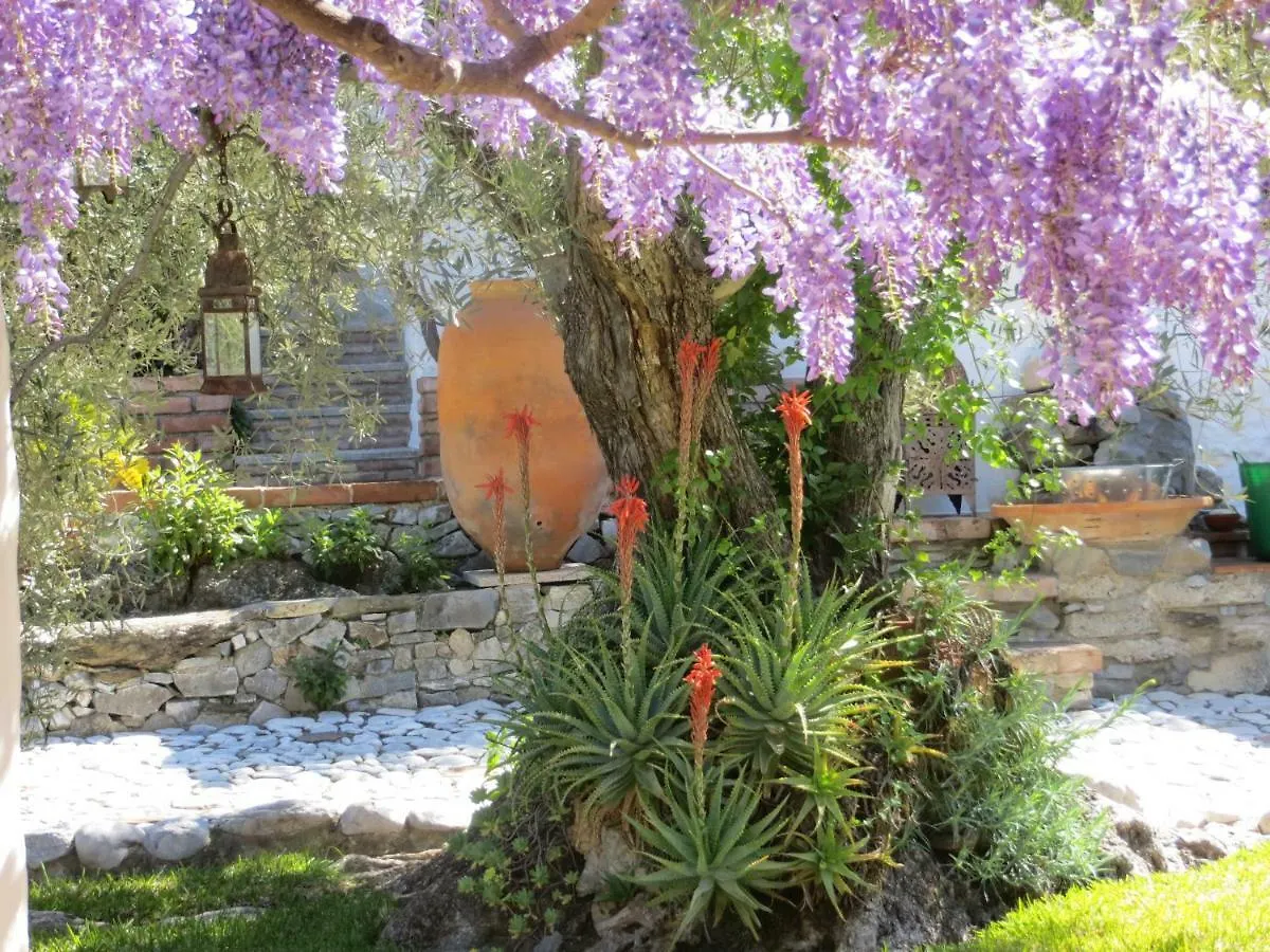 Colores En El Viento location